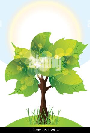 Arbre à feuillage vert luxuriant, journée ensoleillée, vector illustration Illustration de Vecteur