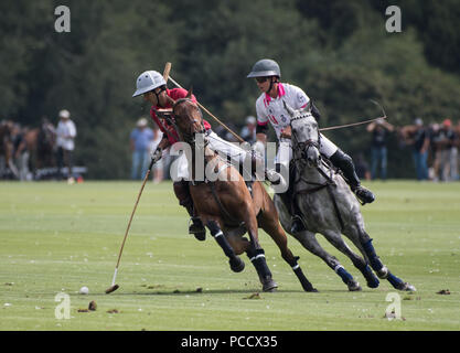 Action de la King Power Gold Cup, finale Cowdray, West Sussex, UK Banque D'Images