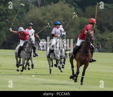 Action de la King Power Gold Cup, finale Cowdray, West Sussex, UK Banque D'Images