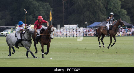 Action de la King Power Gold Cup, finale Cowdray, West Sussex, UK Banque D'Images