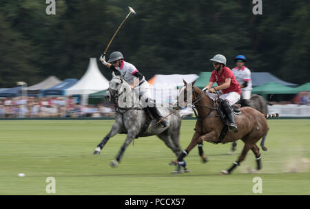 Action de la King Power Gold Cup, finale Cowdray, West Sussex, UK Banque D'Images