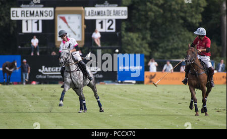 Action de la King Power Gold Cup, finale Cowdray, West Sussex, UK Banque D'Images