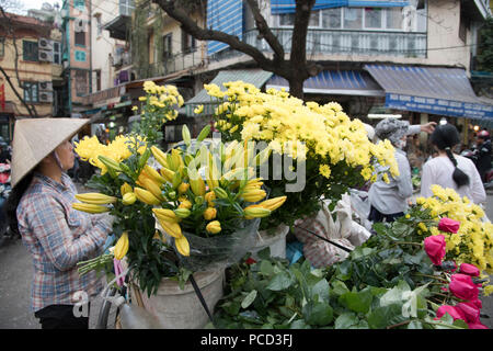 Une femme vendant des chrysanthèmes jaunes et les lis pour la fête du Têt dans le vieux quartier, Hanoï, Vietnam, Indochine, Asie du Sud, Asie Banque D'Images