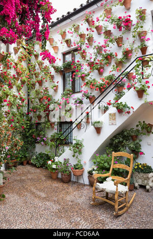 Les couleurs de l'image de fleurs au Festival des patios, Cordoue, Andalousie, Espagne, Europe Banque D'Images