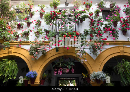 Les couleurs de l'image de fleurs au Festival des patios, Cordoue, Andalousie, Espagne, Europe Banque D'Images