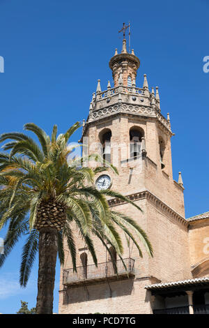 Palmier et tour de l'Eglise de Santa Maria la Mayor, Ronda, Andalousie, Espagne, Europe Banque D'Images