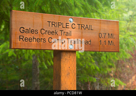 C triple signe, sentier forestier de l'Etat de l'Oregon, Tillamook Banque D'Images