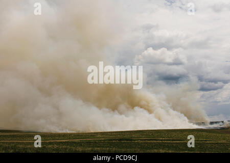 La fumée de combustion contrôlée sur les terres agricoles, les brûlures de saison pour effacer le chaume. Banque D'Images