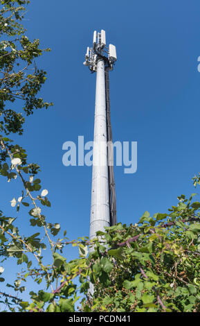 Hauteur du mât de l'antenne de cellulaire ou de téléphones mobiles, un émetteur de la station de base au Royaume-Uni, contre le ciel bleu. Banque D'Images
