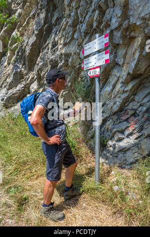 Walker masculin contrôle sentier de montagne signe avec son téléphone mobile. Banque D'Images