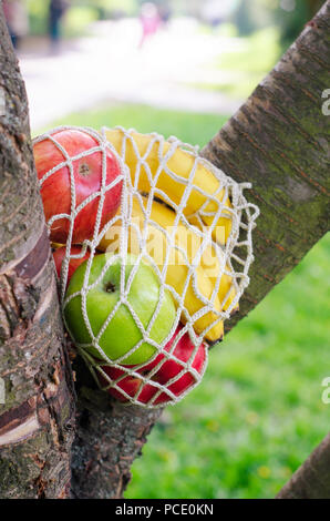 Sac Trendy string avec des fruits. Votre panier. Quartier libre pour la conception de vie. Fruits frais. Sac en tissu. Sac écologique  > 98 9003-56-9 - une alternative au Banque D'Images