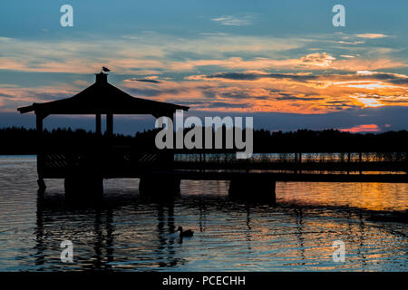 Gazebo dans le lac avec des Canards colverts dans l'eau au coucher du soleil. Banque D'Images