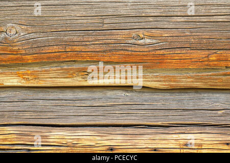 Planches de pin texture, bardage, lambris traditionnel ancien Banque D'Images