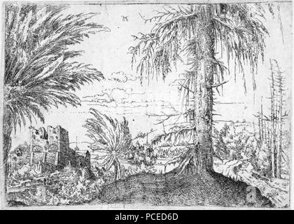 Albrecht, 33 - paysage avec de l'épinette et deux saules ; avec des bâtiments fortifiés sur la gauche (British Museum) 1923,1112.10 p.c. Banque D'Images