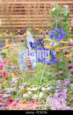 Un chemin à l'avenir montrer détails jardin à Tatton Park RHS Flower show 2018, Cheshire, Royaume-Uni Banque D'Images