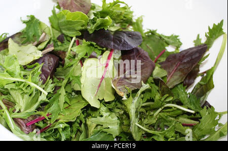 Produits frais bio Mélange Printanier (mesclun)