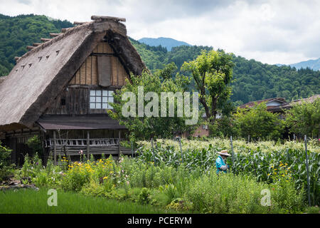 Le village historique de Shirakawa-go, site du patrimoine mondial de l'UNESCO, dans le centre du Japon Banque D'Images