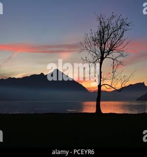 Contours du Mont Niesen. Ciel coloré sur le lac de Thoune. Scène d'été en Suisse. Banque D'Images