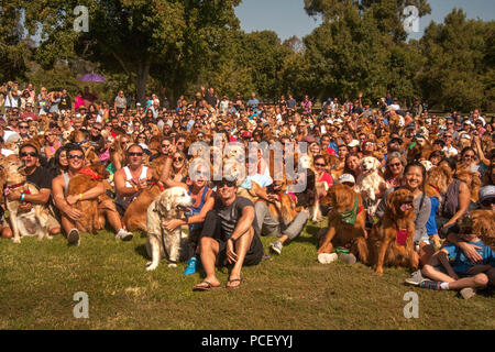 Les propriétaires de chiens Golden Retriever multiraciales posent avec leurs animaux pour une photo de groupe dans un Huntington Beach, CA, parc lors d'un festival de chien. (Photo par Spencer Grant) Banque D'Images