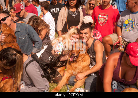 Les propriétaires de chiens Golden Retriever multiraciale un snap car elles constituent selfies avec leurs animaux pour une photo de groupe dans un Huntington Beach, CA, parc lors d'un festival de chien. (Photo par Spencer Grant) Banque D'Images