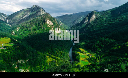 Vue aérienne d'une vallée de montagne, forêt, rivière Tara canyon dans le parc national de Durmitor, le Monténégro. Banque D'Images