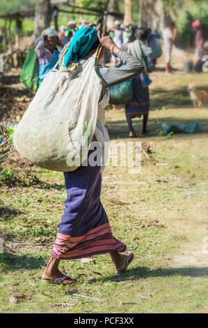 Femme indienne transportant sur leur tête un sac rempli de feuilles de thé, pour un usage éditorial uniquement, Assam, Inde Banque D'Images