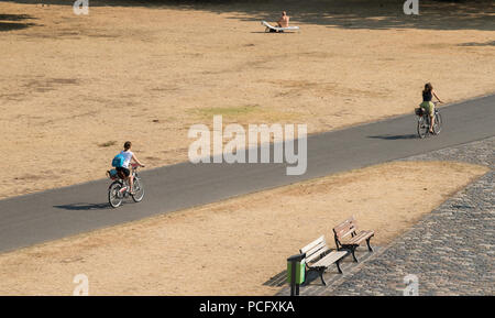 Frankfurt am Main, Allemagne. 09Th Aug 2018. Les cyclistes passent par de l'herbe sèche à côté de la rivière Main. Credit : Silas Stein/dpa/Alamy Live News Banque D'Images