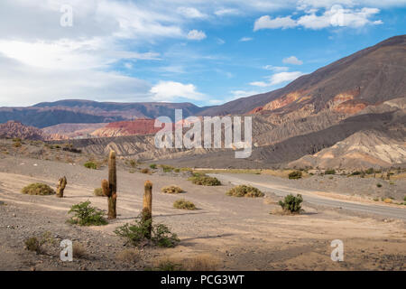 Cactus Cardones et Quebrada del Toro Mountains dans le nord de Salta - Puna Quebrada del Toro, Salta, Argentine Banque D'Images