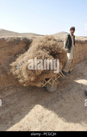 Un garçon Afghan montres comme des forces d'opérations spéciales de la coalition et l'Armée nationale afghane Forcees spécial effectuer une patrouille à pied dans le district de Latif, la province de Ghazni, en Afghanistan, le 2 avril. Coalition SOF et ANASF mené la patrouille afin de discuter avec des villageois sur l'avenir du village et de l'avenir de Latif district. Banque D'Images