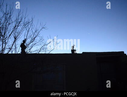 La province de Logar, en Afghanistan (16 février 2014) - L'Armée nationale afghane deux commandos des Forces spéciales rattachées à la 8e Kandak d'opérations spéciales de surveillance stand dans le village de Babus, Pul-I-Alam district, province de Logar, Mar 16. Les commandos étaient dans le village d'effectuer une patrouille de présence et de l'hôte d'une shura à introduire les résidents à la nouvelle chef de la police locale afghane Babus, le cmdr. Reshad. Banque D'Images