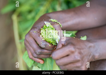 Close up of verts étant haché dans un bol en préparation pour un repas en LiberiaGanta Ganta, Libéria, Banque D'Images