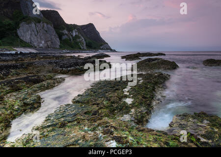 Des roches couvertes d'algues sur la côte au coucher du soleil, Garron Point, comté d'Antrim, en Irlande du Nord. Banque D'Images