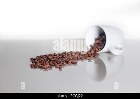 De nombreux grains de café café une tasse de tomber sur un livre blanc avec counterspace textspace Banque D'Images