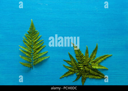La branche verte de la fougère se trouve sur un panneau bleu en bois Banque D'Images