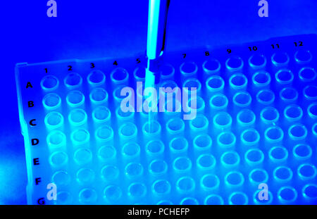 La recherche scientifique de l'ADN pour le développement de médicaments pour traiter la maladie d'Alzheimer et le cancer, Tucson, Arizona, USA. Banque D'Images