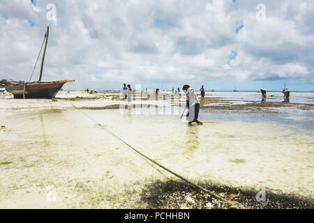 Enfant Africain à la recherche de fruits de mer dans l'océan Banque D'Images