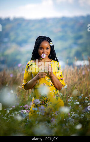 Jeune femme africaine tenant une fleur dans un champ Banque D'Images