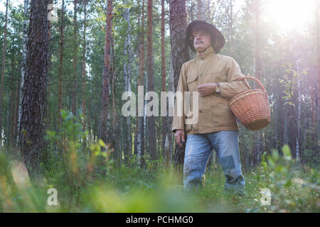 Man picking marcher avec panier en forêt. Il est à la recherche autour de profiter de l'air frais du bois. Banque D'Images