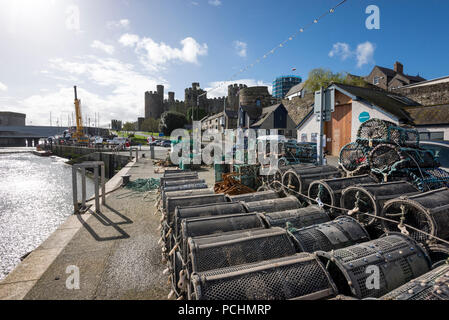 Les filets de pêche et des casiers à homard de Conwy Harbour dans le Nord du Pays de Galles, Royaume-Uni. Banque D'Images