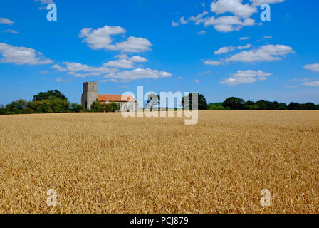 Récolte d'orge au champ, North Norfolk, Angleterre Banque D'Images