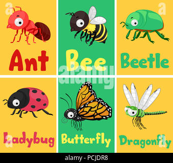 Illustration d'insectes Cartes Flash de fourmi, Abeille, Coccinelle, coccinelle, Papillon pour Dragonfly Banque D'Images