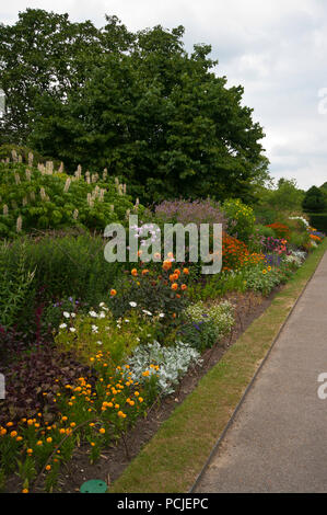 Jardin d'été frontière en pleine floraison de fleurs au Royaume-Uni Banque D'Images