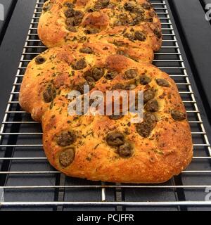 Pain focaccia Olive sur une grille de refroidissement Banque D'Images