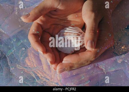 Woman's hand holding a seashell Banque D'Images