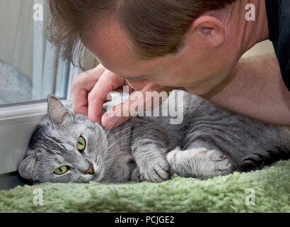 L'homme jouant avec un chat Banque D'Images