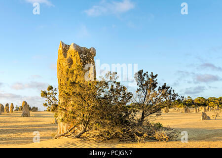 Les Pinnacles, le Parc National de Nambung, Western Australia, Australia Banque D'Images