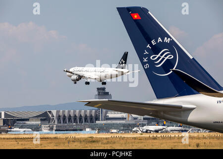 L'aéroport de Francfort / Main, FRA, Fraport, Lufthansa Airbus A320-211, D-AIPD, approche à l'atterrissage, la queue d'un groupe de Skyteam, jet Banque D'Images