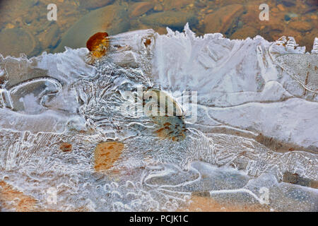 Formations de glace le long de la rivière Pine, Zion National Park, Utah, USA Banque D'Images