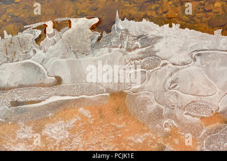 Formations de glace le long de la rivière Pine, Zion National Park, Utah, USA Banque D'Images