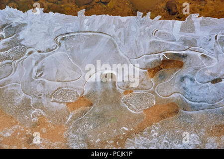 Formations de glace le long de la rivière Pine, Zion National Park, Utah, USA Banque D'Images